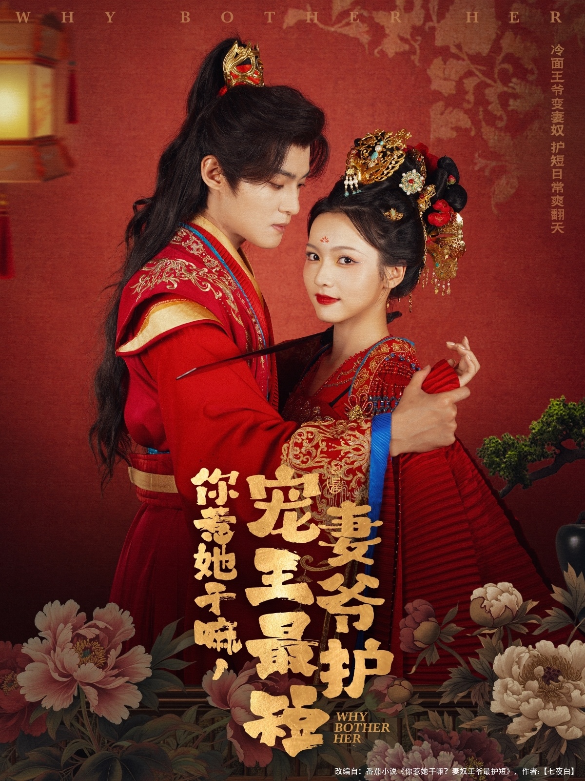 你惹她干嘛，寵妻王爺最護短