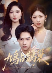 鳩占鵲巢，頂流夫人的致命陷阱