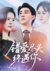 錯(cuò)愛(ài)盡頭終遇你